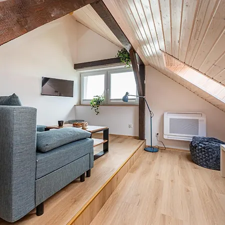 Apartment Kamienna Top Studio - Billberry