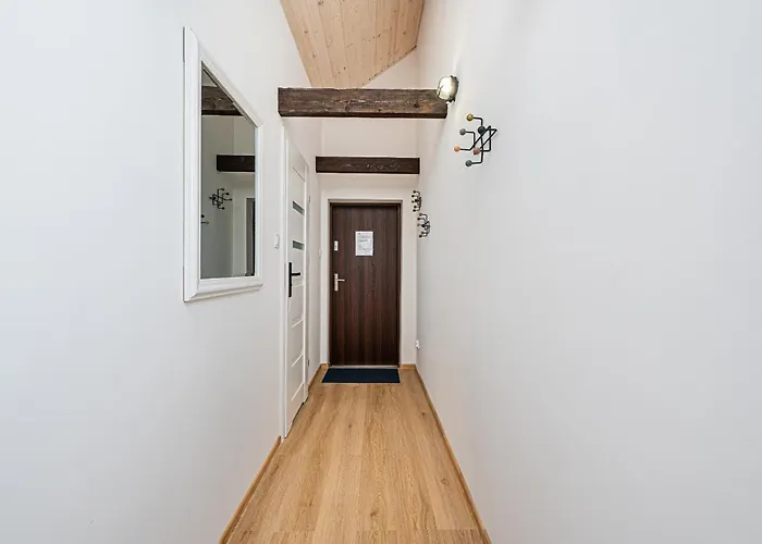 Kamienna Top Studio - Billberry